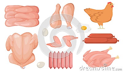 Cartoon chicken fresh raw meat vector set Vector Illustration