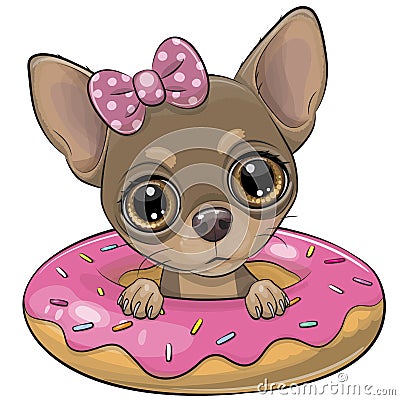 Cartoon Chihuahua girl swimming on pool ring donut Vector Illustration