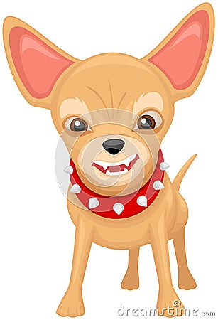 Cartoon Chihuahua in Red Collar Vector Illustration