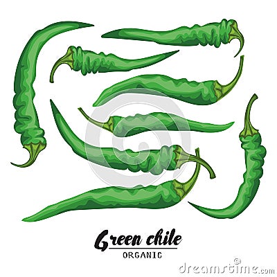 Cartoon chile pepper. Ripe green vegetable. Vegetarian delicious Vector Illustration
