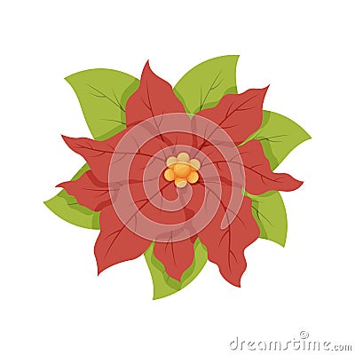 Cartoon Christmas flower plant Poinsettia. Vector Illustration