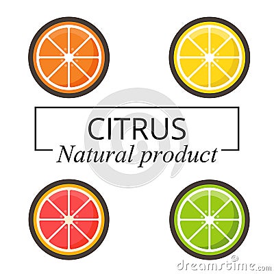 cartoon citrus with text set Vector Illustration