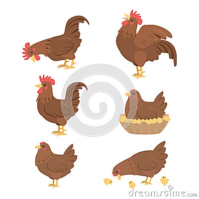Cartoon cock and hen, vector Vector Illustration