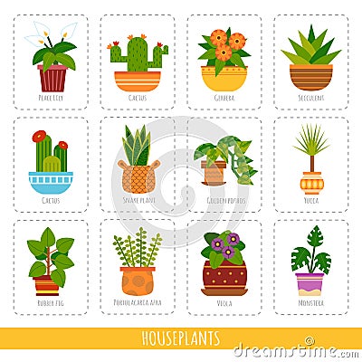 Cartoon collection of the houseplants. Vector set of colorful cards for the learning of plant species Vector Illustration