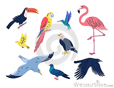 Cartoon Color Different Flying Birds Set. Vector Vector Illustration