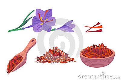 Cartoon Color Saffron Flower and Spice Set. Vector Vector Illustration