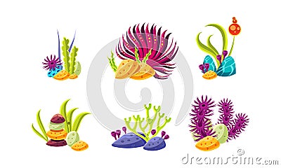 Cartoon compositions with fantasy seaweed and stones. Marine plants. Sea and ocean life. Flat vector set Vector Illustration