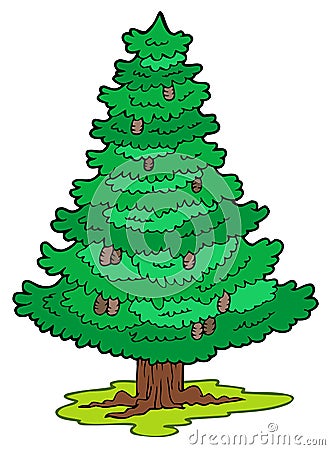 Cartoon coniferous tree Vector Illustration