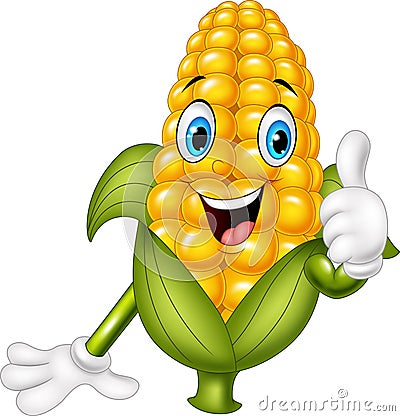 Cartoon corn giving thumbs up Vector Illustration