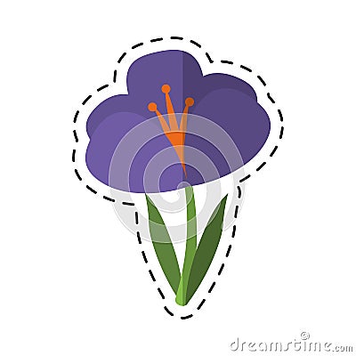 Cartoon crocus plant spring floral icon Vector Illustration