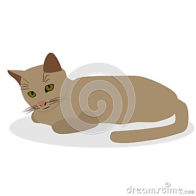 Cartoon and cute cat with smile Vector Illustration