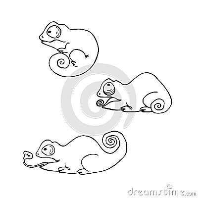 Cartoon cute chameleons set. Vector contour lizard Vector Illustration