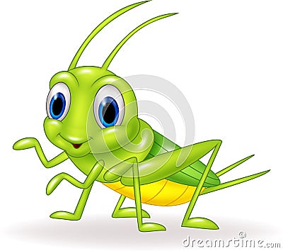 Cartoon cute green cricket isolated on white background Vector Illustration