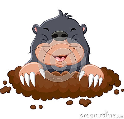 Cartoon cute mole Vector Illustration