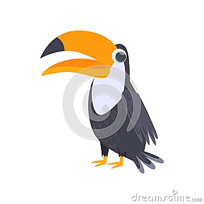 Black toucan standing with big beak isolated on white background. Front view Vector Illustration