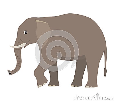 Cartoon cute wild animal, big gray elephant Vector Illustration
