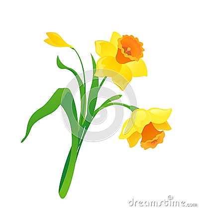 Cartoon daffodil Vector Illustration