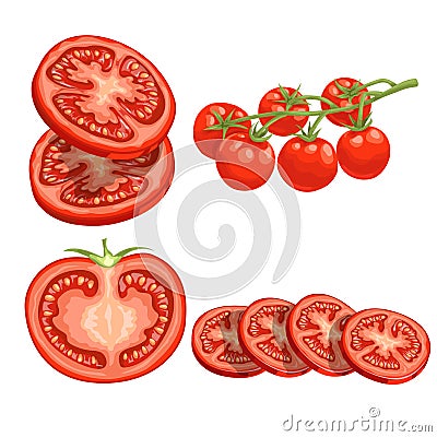 Cartoon different types tomatoes set. Red ripe vegetables isolated on white background. Slices, half tomato and cherry tomatoes on Vector Illustration