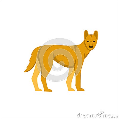 Cartoon dingo dog on a white background.Flat cartoon illustration for kids Vector Illustration