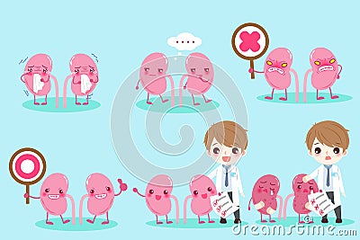 Cartoon doctor with kidney Vector Illustration