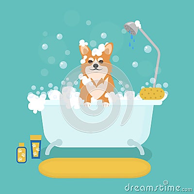 Cartoon Dog in Bath Grooming Services. Vector Vector Illustration
