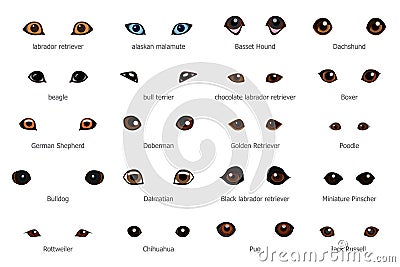 Cartoon dog eyes Vector Illustration