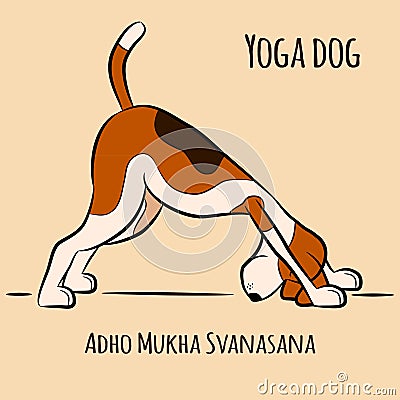 Cartoon dog shows yoga pose Adho Mukha Svanasana Vector Illustration