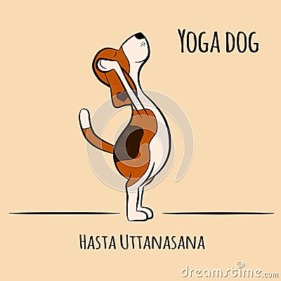 Cartoon dog shows yoga pose Hasta uttanasana Vector Illustration