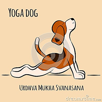 Cartoon dog shows yoga pose Urdhva Mukha Svanasana Vector Illustration