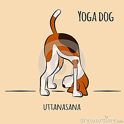 Cartoon dog shows yoga pose uttanasana - standing forward bend pose Vector Illustration