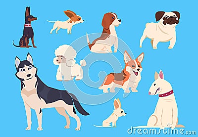 Cartoon dogs breeds. Corgi and husky, poodle and beagle, pug and chihuahua, bull terrier. Comic pet animals vector Vector Illustration
