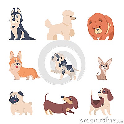 Cartoon dogs. Retriever labrador husky puppies, flat happy pets set, isolated home animals on white background. Vector Vector Illustration