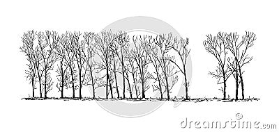 Cartoon Drawing of Group or Alley of Poplar Trees in the Far Cartoon Illustration