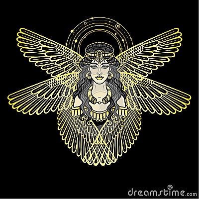 Cartoon drawing: beautiful winged woman with an ancient hairstyle, character in Assyrian mythology. Vector Illustration