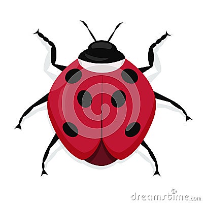 Cartoon drawing ladybug. flat style isolated on white background Vector Illustration