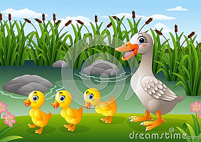 Cartoon duck family Vector Illustration