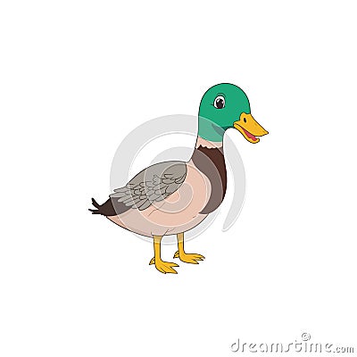 Cartoon duck swimming vector design Stock Photo