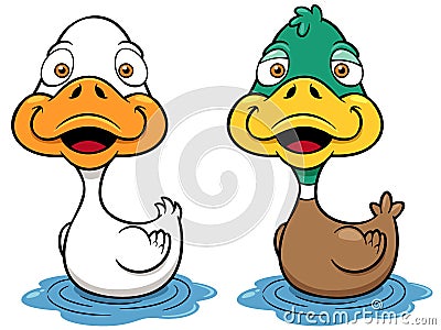 Cartoon Duck Vector Illustration