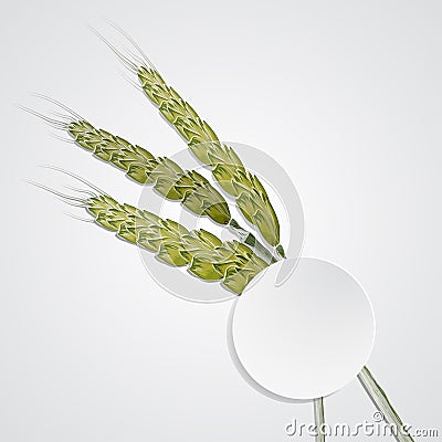 Cartoon ears of ripe yellow wheat Stock Photo