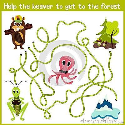 Cartoon of Education will continue the logical way home of colourful animals. Help the beaver to get home in the wild forest. Matc Cartoon Illustration
