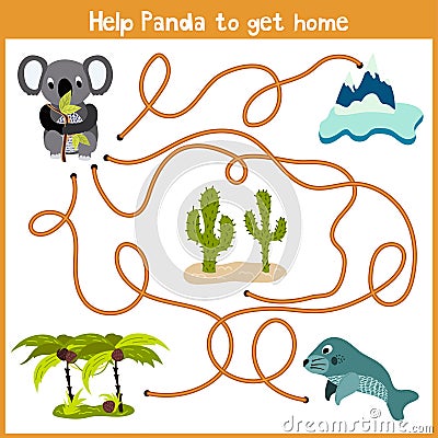 Cartoon of Education will continue the logical way home of colourful animals. Help marsupial the Koala bear to get home to Austral Cartoon Illustration