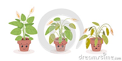 Cartoon fading houseplant. Dying cute flower in flowerpot, smiling and sad plant character, growing process floral or Vector Illustration