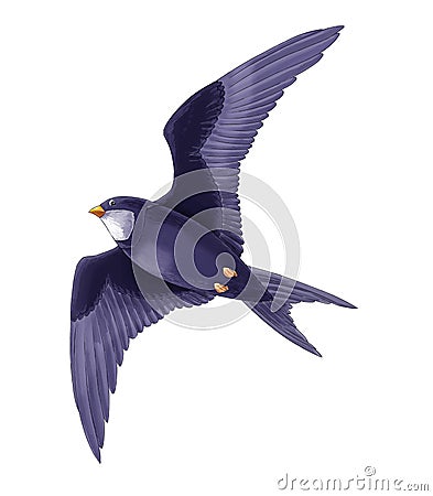 cartoon fairy tale animal character - flying cuckoo bird - illustration for children Cartoon Illustration