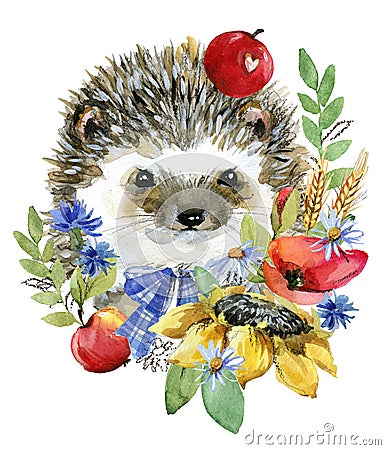 Cartoon farm animal illustration. cute watercolor hedgehog Cartoon Illustration