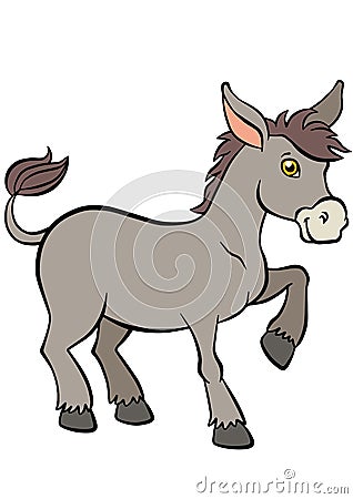 Cartoon farm animals for kids. Cute small donkey. Vector Illustration