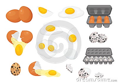 Cartoon farm fresh chicken and quail eggs in packages. Broken, raw, fried and hard boiled egg half with yolk. Eggs for Vector Illustration