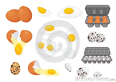 Cartoon farm fresh chicken and quail eggs in packages. Broken, raw, fried and hard boiled egg half with yolk. Eggs for breakfast Vector Illustration