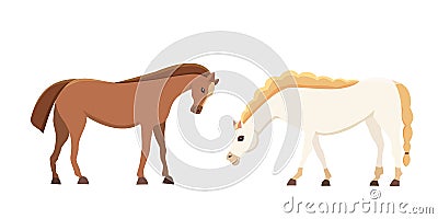 Cartoon farm isolated vector hoses. Collection of animal horse standing . Different silhouette Vector Illustration