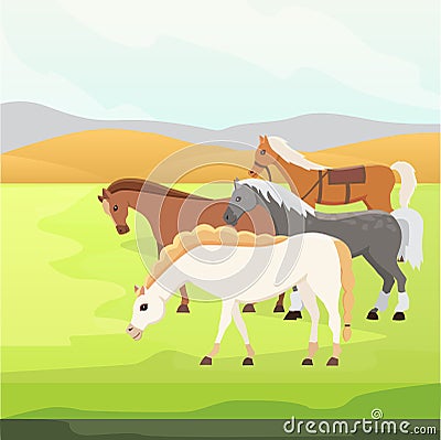 Cartoon farm wild vector hoses. Collection of animal horse standing . Different silhouette Vector Illustration