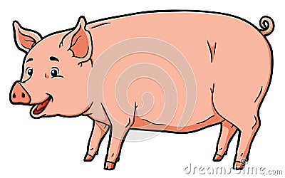 Cartoon fat pig standing in four legs Vector Illustration